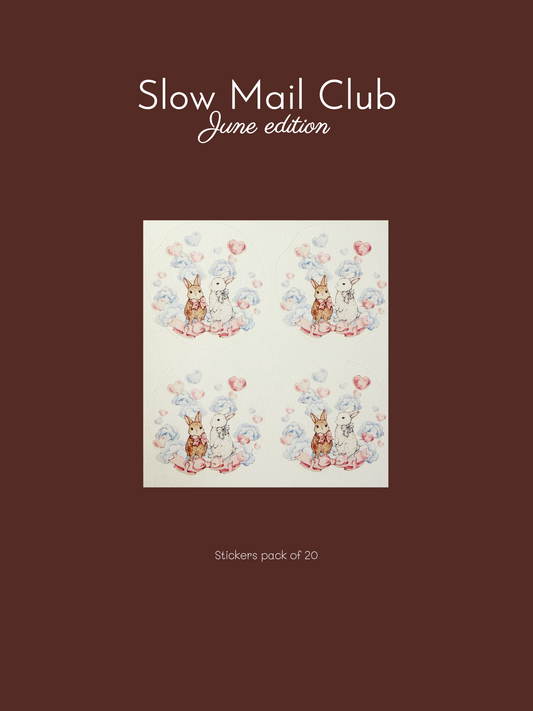 June edition - bunny sticker pack of 20